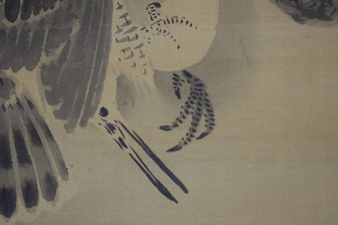 【真作】狩野栄川院/鷹之図/タカ図/掛軸☆宝船☆Z-511