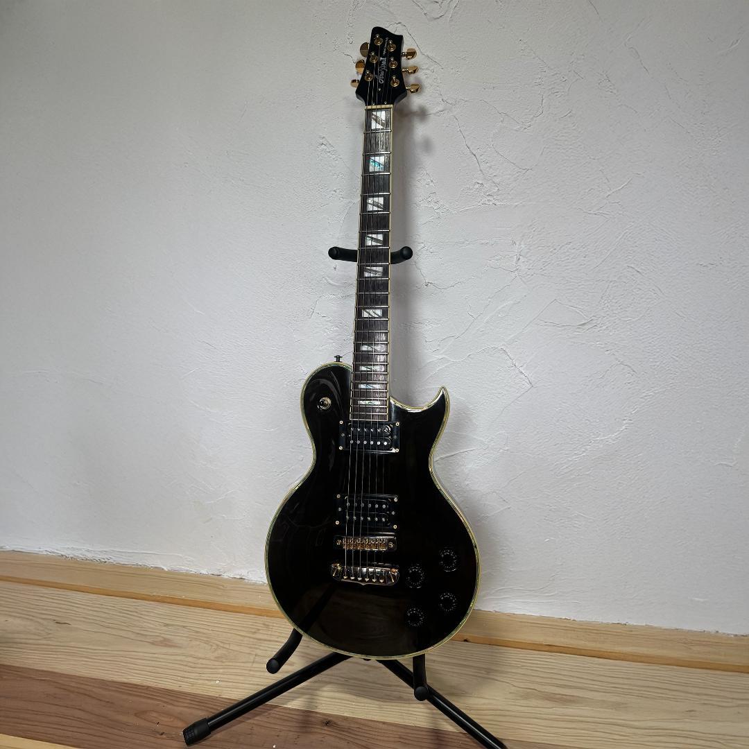 Aria Pro II PE-e 美品 新品弦 張替済