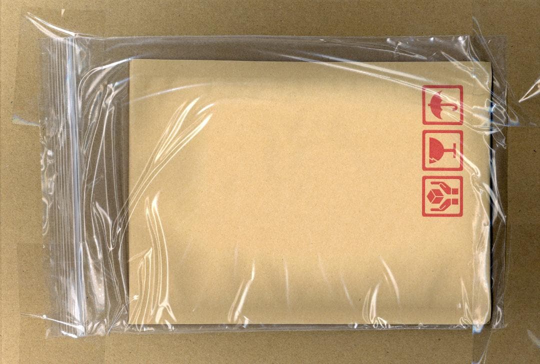 ARS9 エビワラー 極美品 化石の秘密 ポケモンカード 鑑定品 旧裏 PSA9