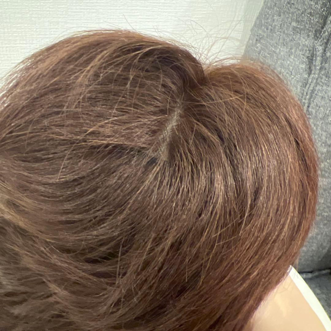 新品未使用　人毛100% ショートウィッグ