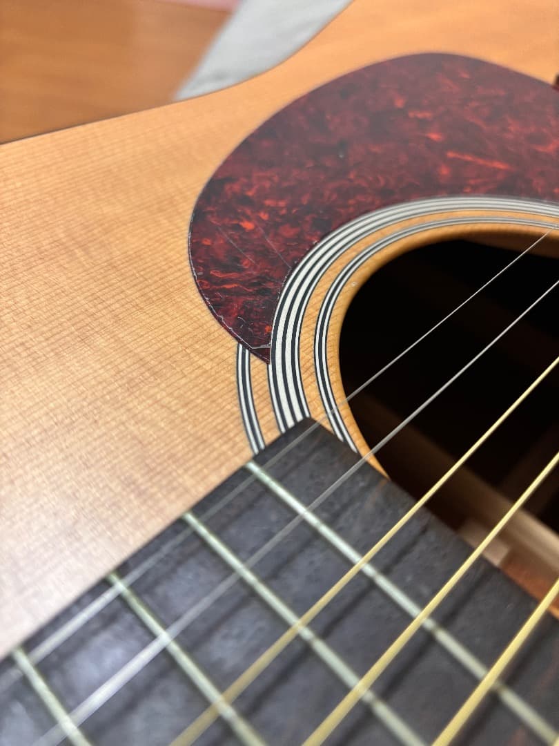 ギター Martin D-1