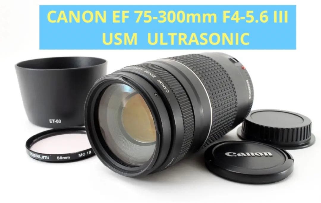 大迫力300㎜/人気/スポーツ/望遠レンズ/Canon EF75-300㎜USM