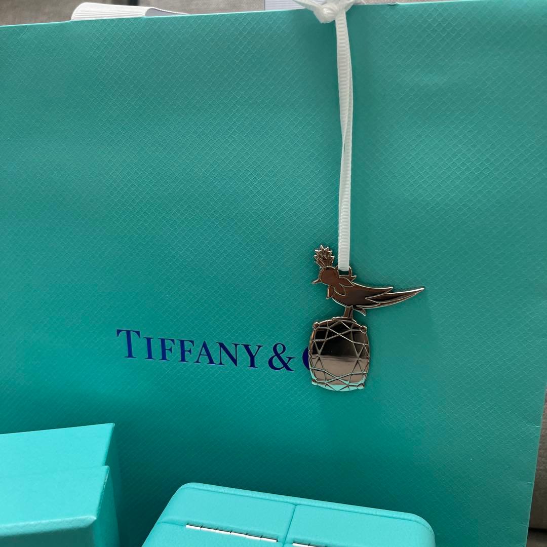 【銀座店限定チャーム付き】Tiffany & Co. ショップ袋とボックス