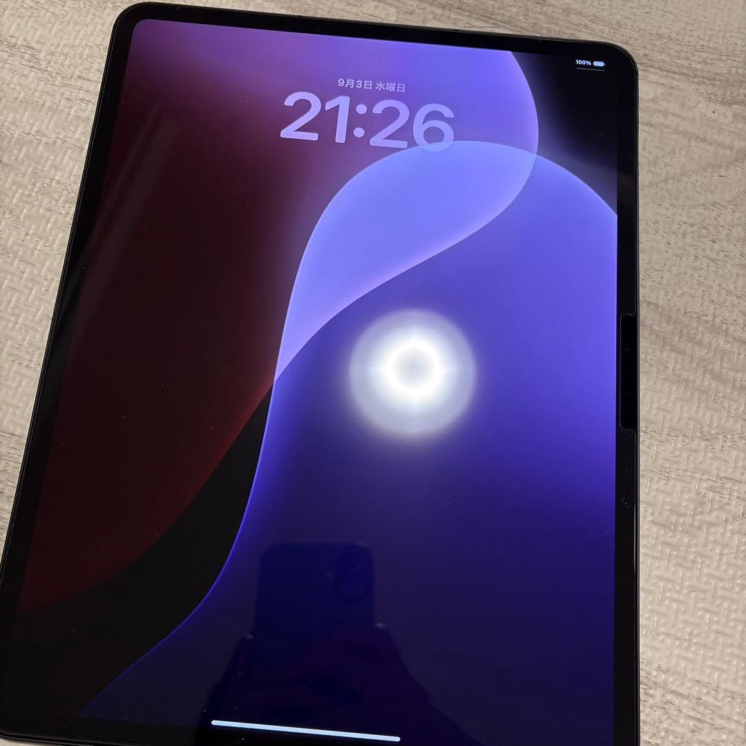 【T】13インチiPad Pro(M4) 256GB cellular