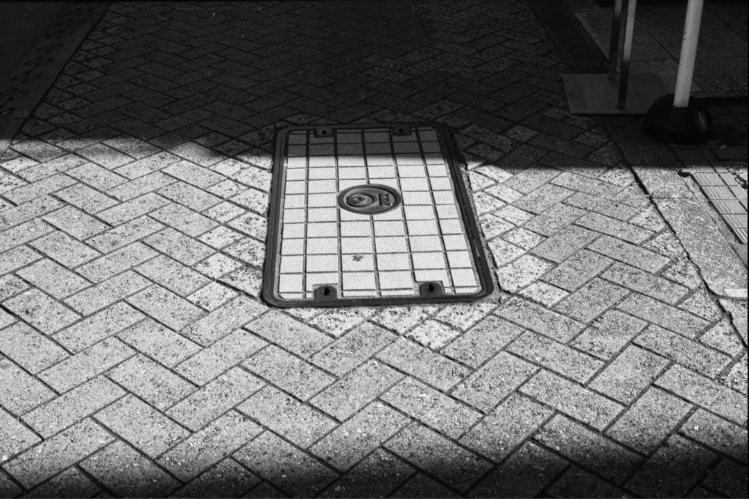 contax RX 実用品　作例あり