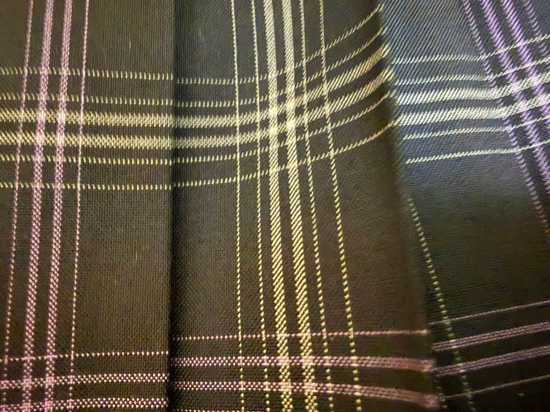 飛鳥未来きずな スカート 夏服