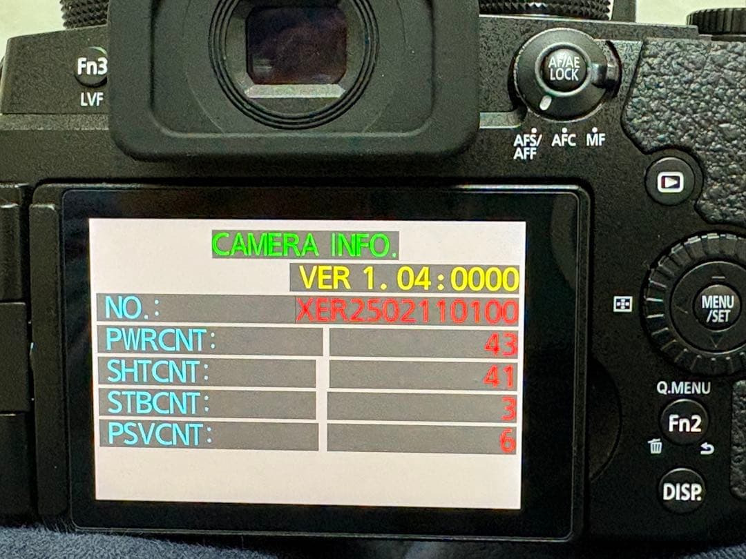 【美品】LUMIX G99M2 G99II ボディ 付属有