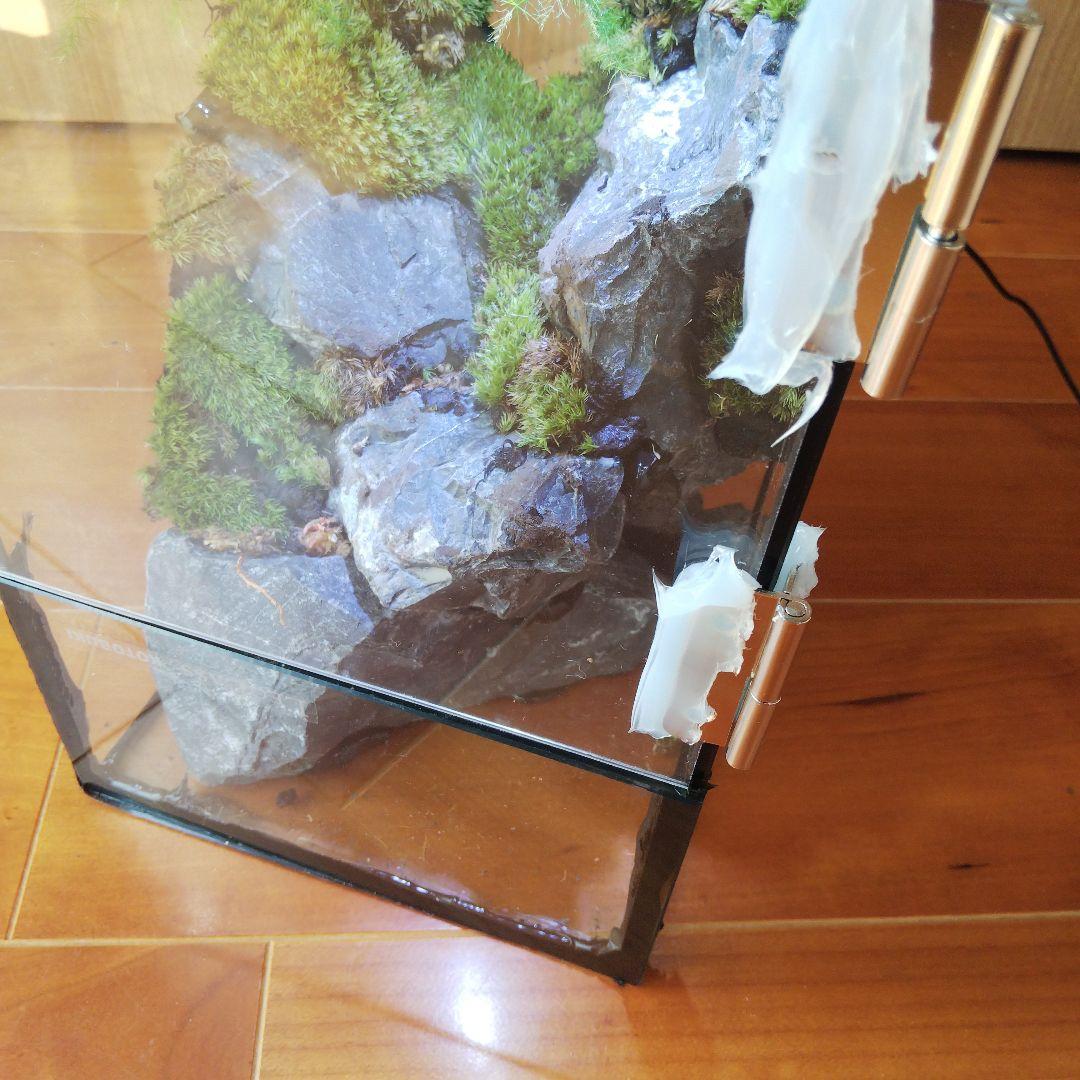 【受注生産】扉付き水槽　イモリウム パルダリウム テラリウム