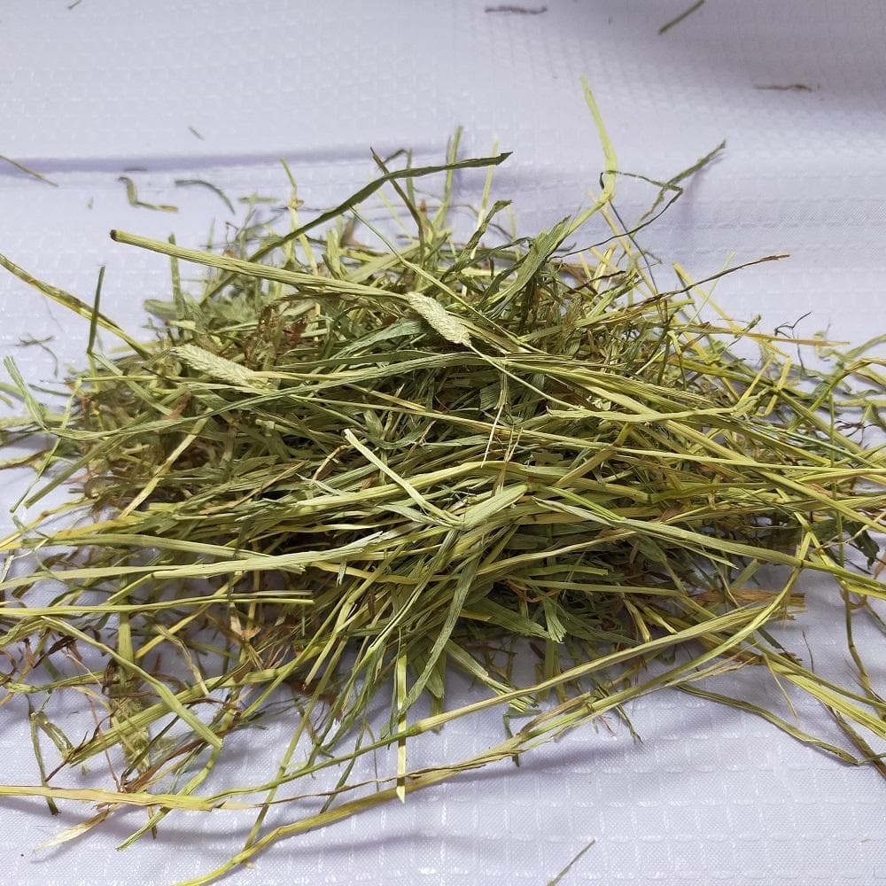 【3/16まで】US産 チモシー 100kg ２番刈り ソフトSプレミアム