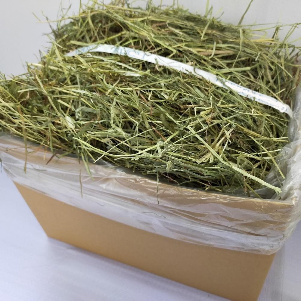 【3/16まで】US産 チモシー 100kg ２番刈り ソフトSプレミアム