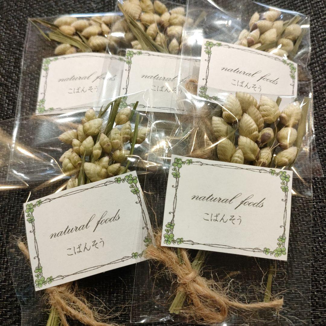 【ギフト用】乾燥野草フルーツ詰め合わせ　小動物　おやつ