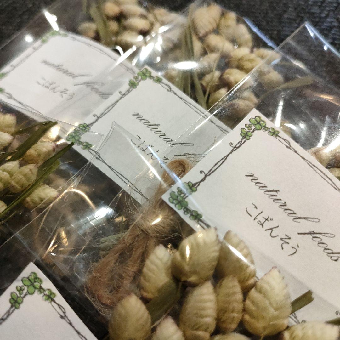 【ギフト用】乾燥野草フルーツ詰め合わせ　小動物　おやつ