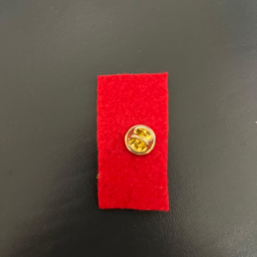【激レア】大阪・関西万博　イタリアパビリオン　ピンバッジ