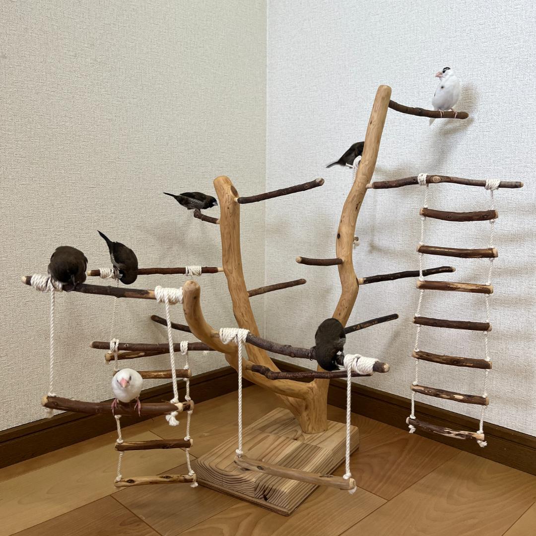 【小鳥用】あちこちブランコ&はしご付♬バードジム