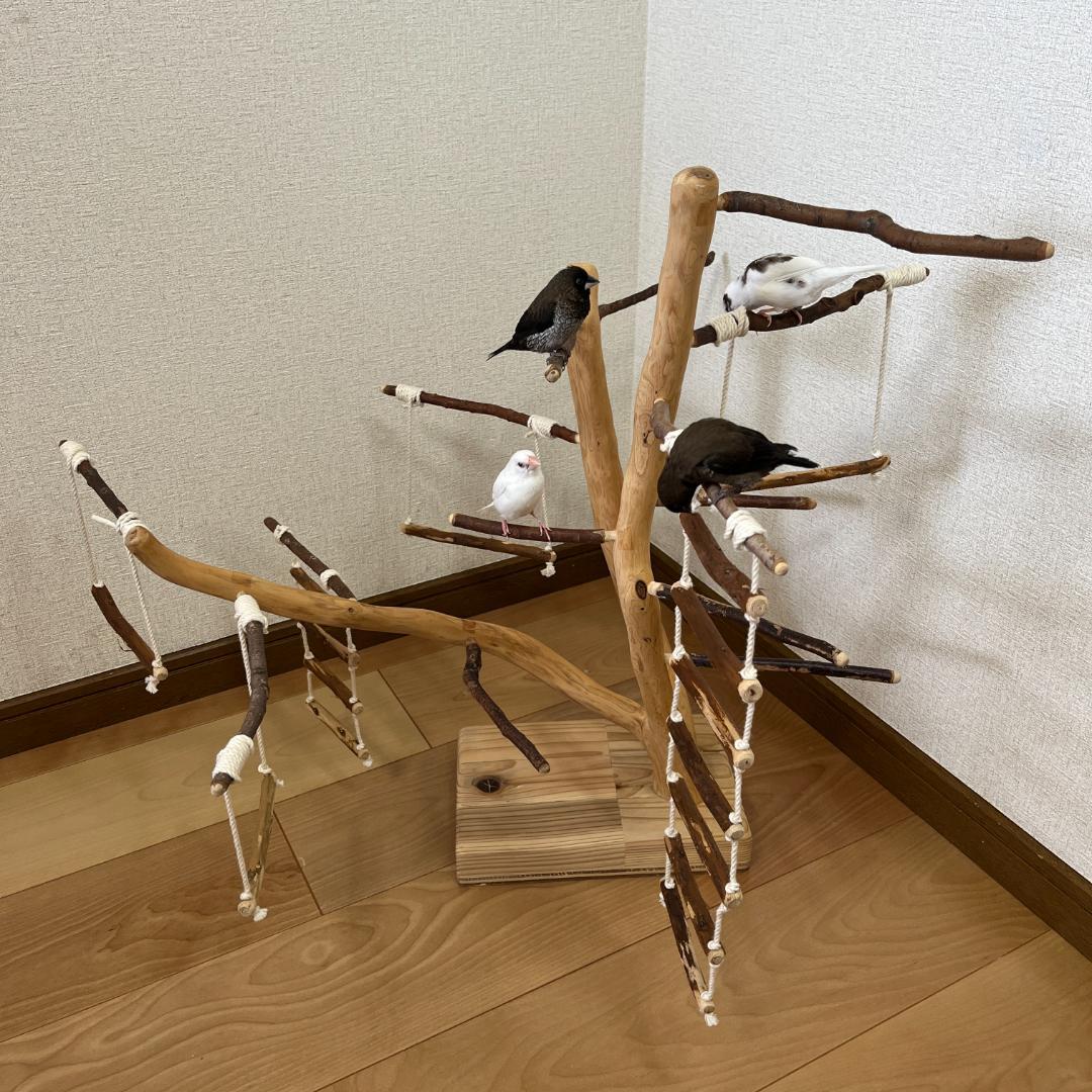 【小鳥用】あちこちブランコ&はしご付♬バードジム