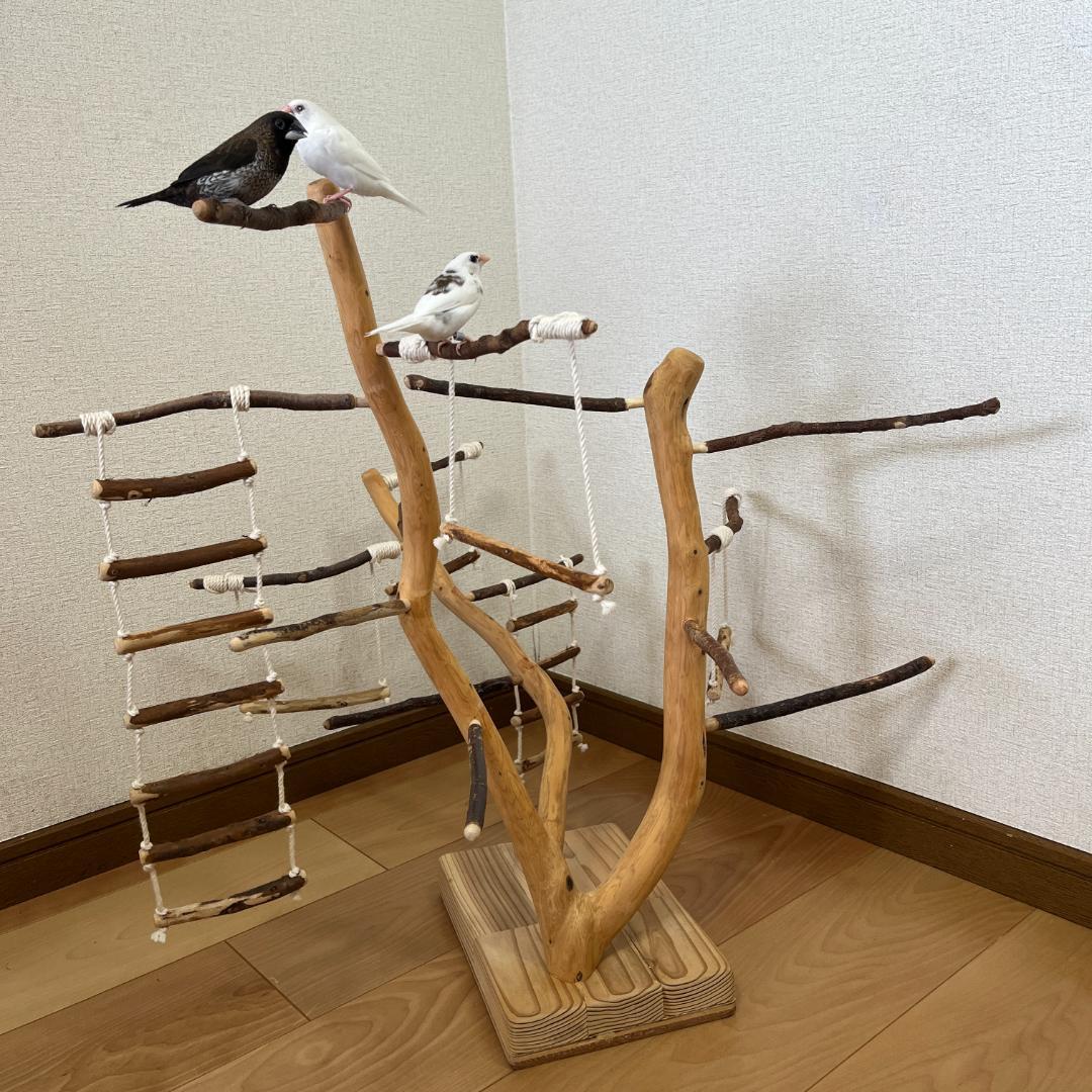 【小鳥用】あちこちブランコ&はしご付♬バードジム