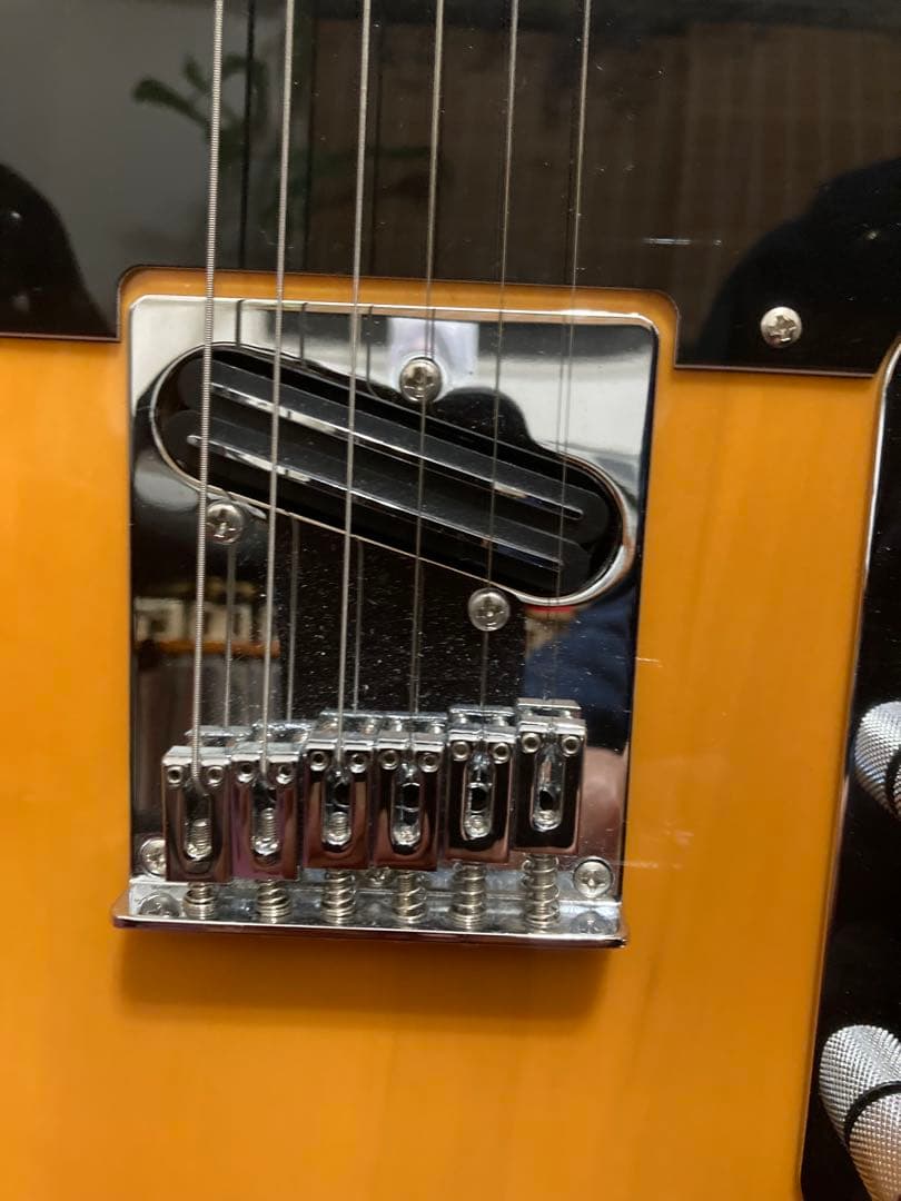 Tagima テレキャスタータイプ　TW-55