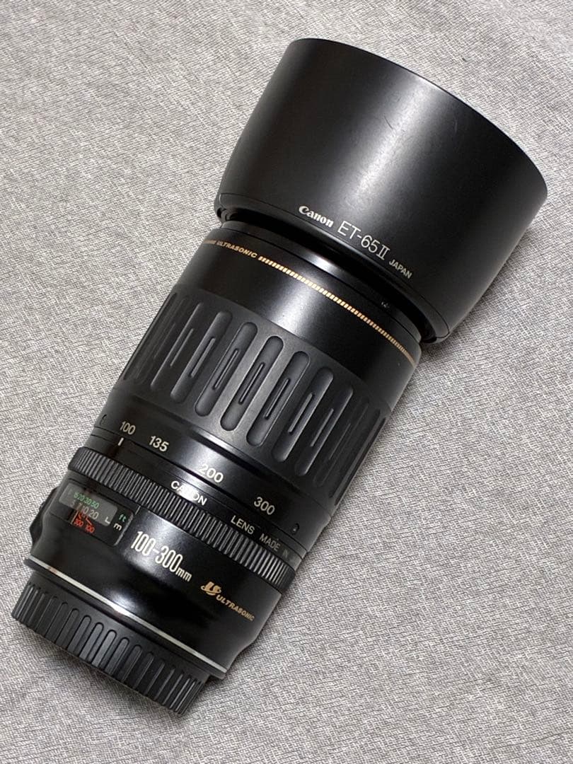⭐️美品⭐️キャノンCanon EF 100-300mm 4.5-5.6 USM
