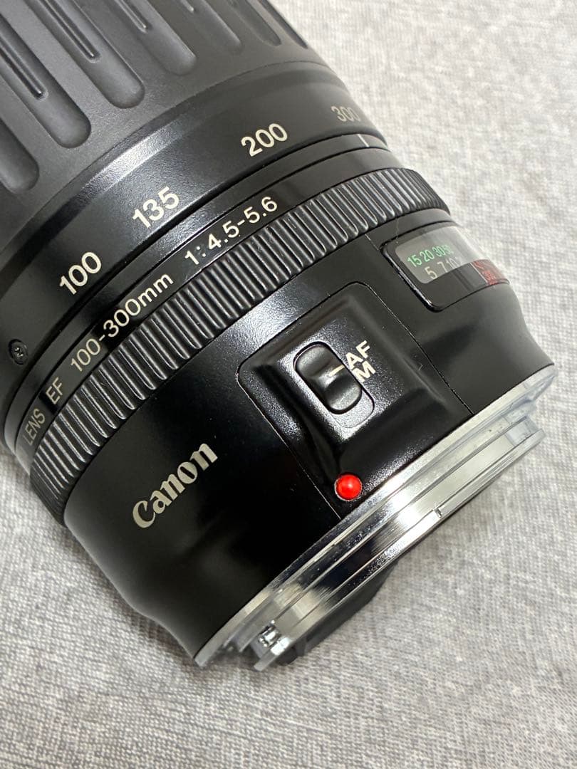 ⭐️美品⭐️キャノンCanon EF 100-300mm 4.5-5.6 USM