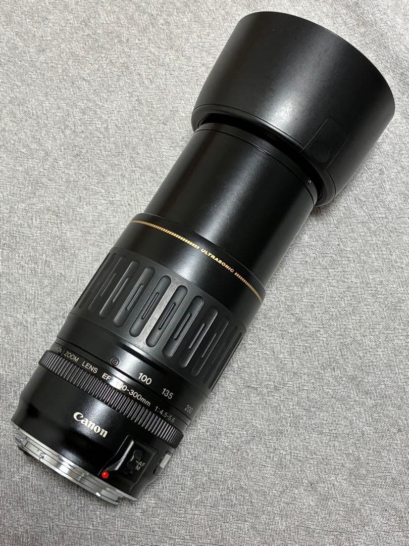 ⭐️美品⭐️キャノンCanon EF 100-300mm 4.5-5.6 USM