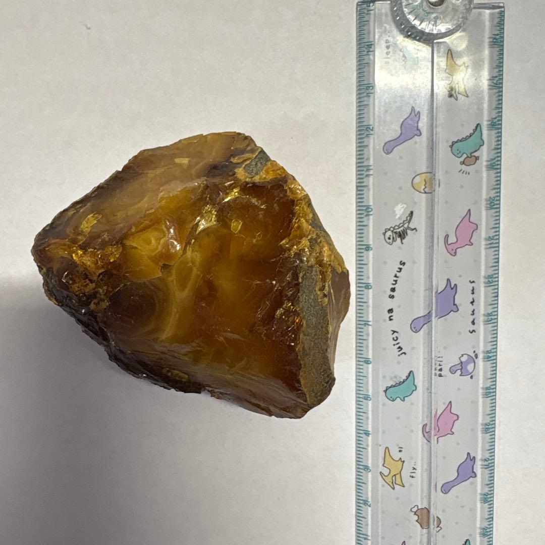 琥珀 アンバー 化石 宝石 原石 岩手県久慈産