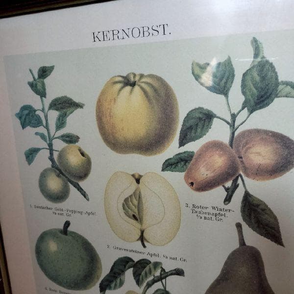 イタリア ヴィンテージ 大判 無垢 木枠 額装 アート パネル 大型 特大 美術