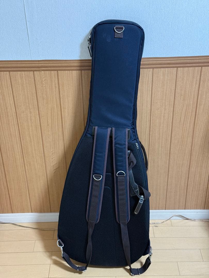 T’s Guitars Arc-STD VS100N マホガニー エボニー指板