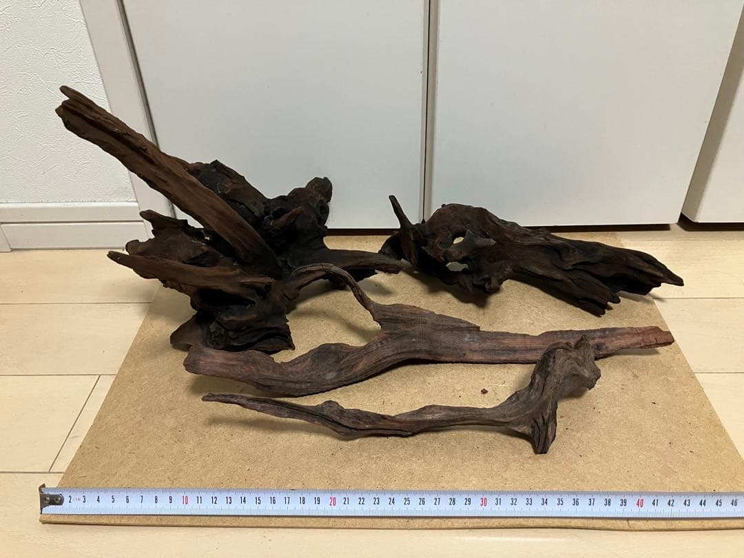 ADA ホーンウッド4つ