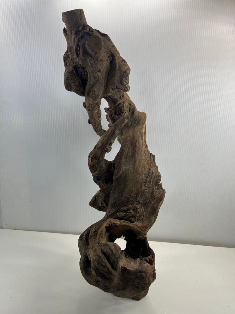 V67アク抜き済み流木 爬虫類シェルター 登り木 インテリア 生け花