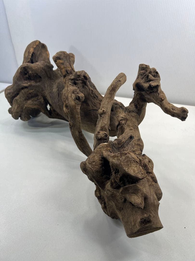 V67アク抜き済み流木 爬虫類シェルター 登り木 インテリア 生け花