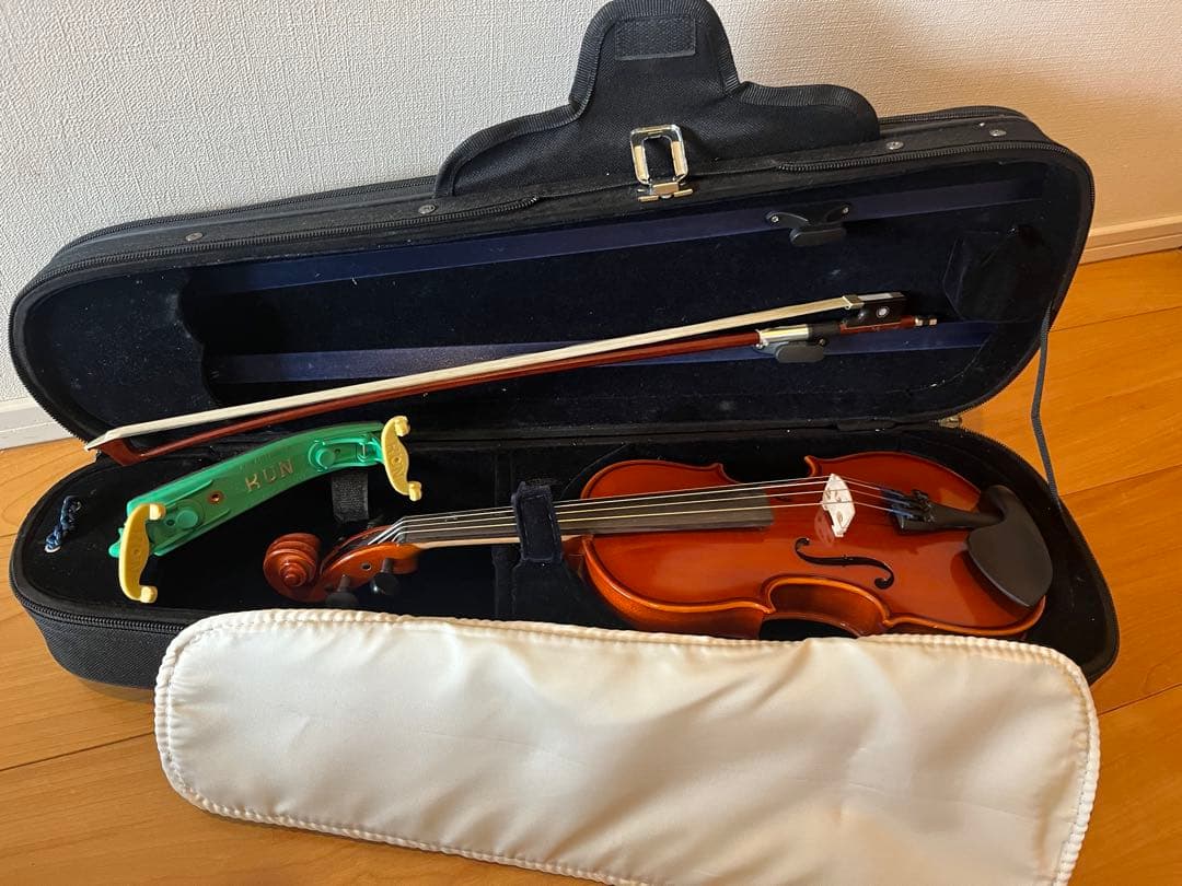 お値下げ⭐︎Eastman VL80 バイオリンセット　1/8
