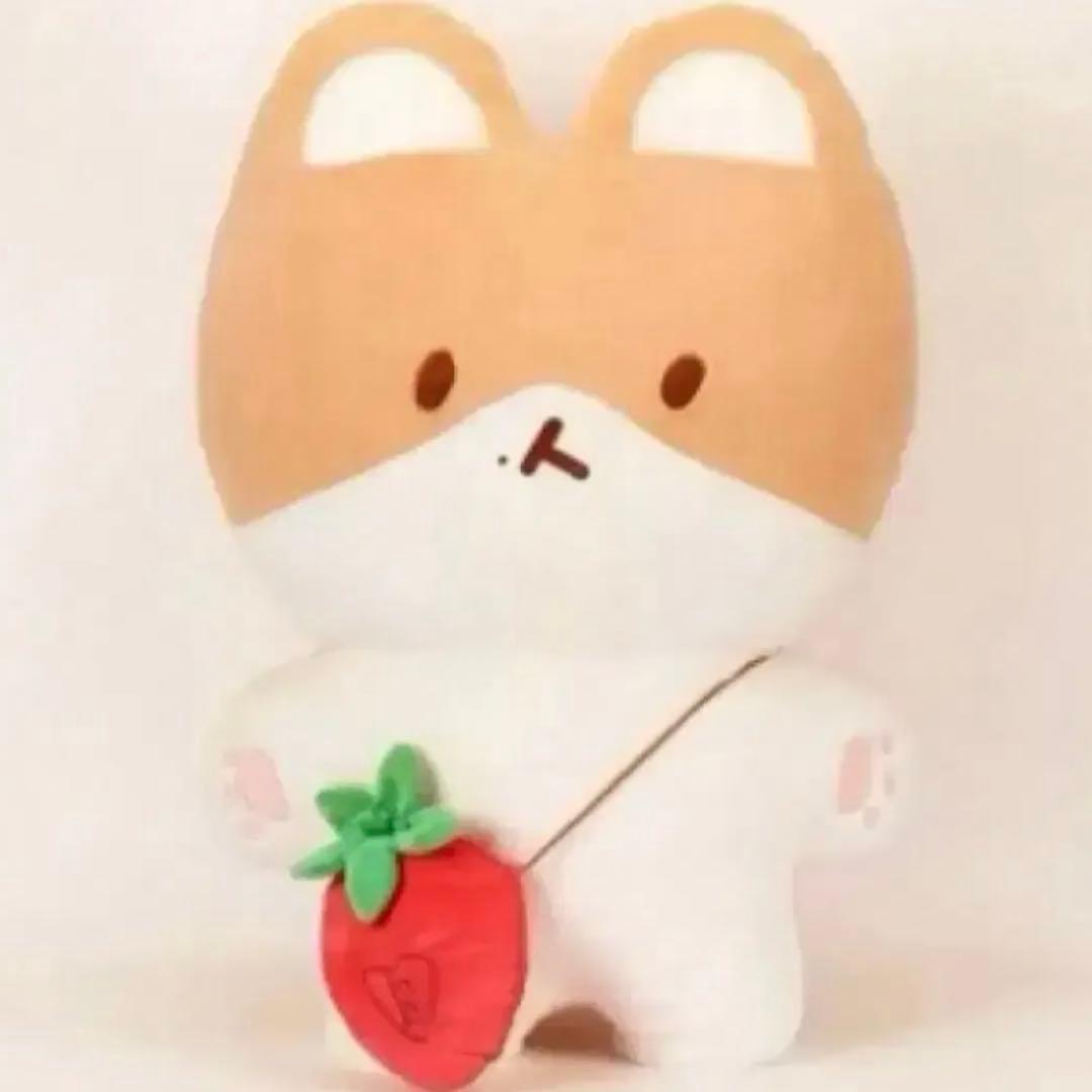 大王 トレギ exo ベッキョン　ぬいぐるみ