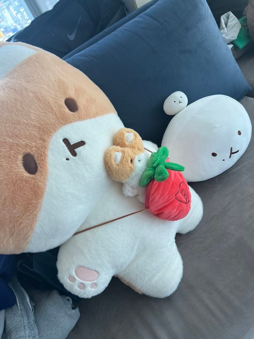 大王 トレギ exo ベッキョン　ぬいぐるみ