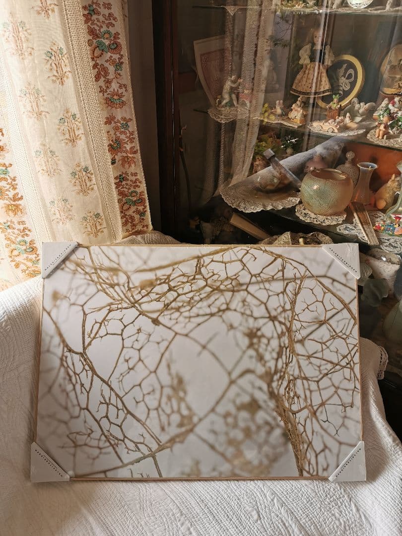 未開封デンマーク アートパネル マレリファブリケン 白木オーク リーフスケルトン