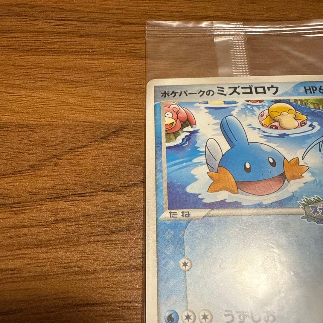 ポケモンカード ポケパークのミズゴロウ スプラッシュアドベンチャー 未開封