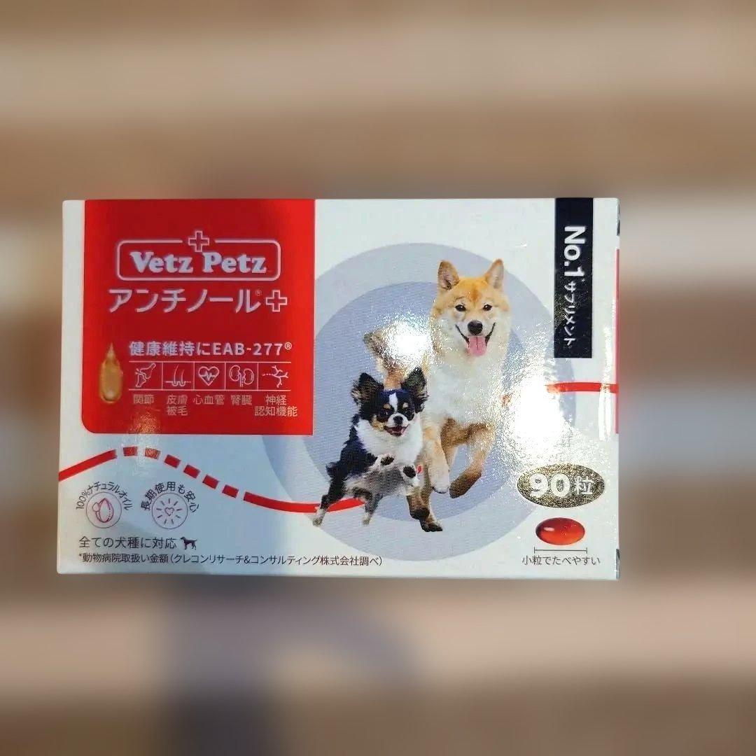 アンチノールプラス　90粒