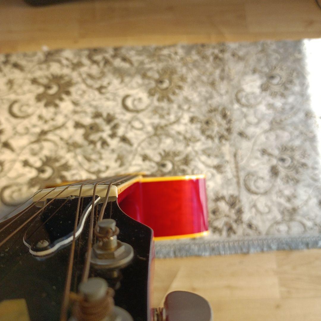 DOVEダヴモデル Burny BD-85 バーニー フェルナンデス 百瀬さん