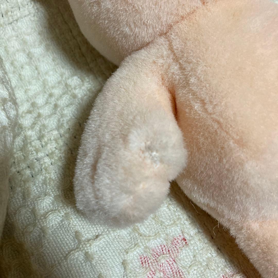 サンアロー　kipper ブタ　ぬいぐるみ　中古品