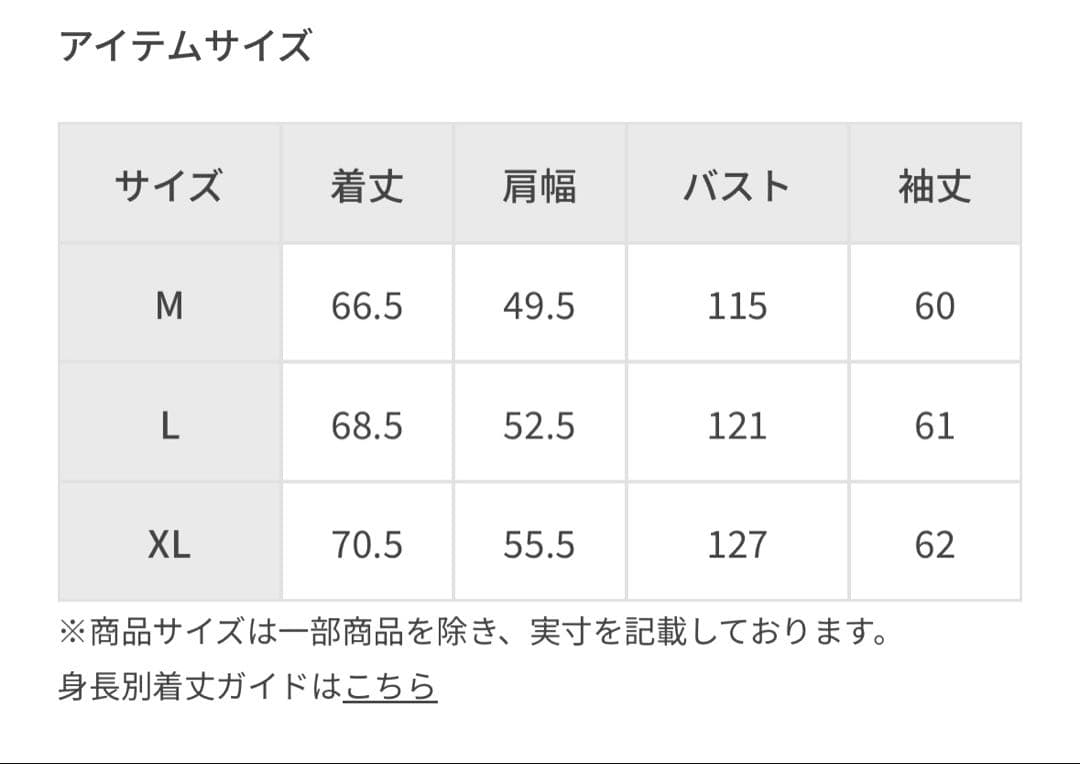 【完売品】STRANGER THINGS フーディー　ネイビーLサイズ