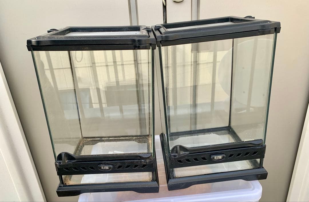 グラステラリウム　ナノ　nano エキゾテラ　2個セット