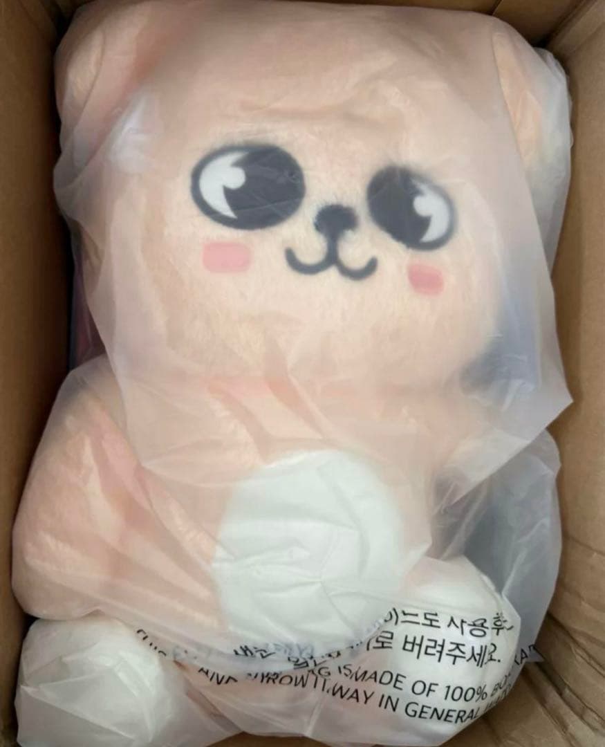 る*き様 特典付き★StrayKids SKZOOスンミン テディ パピーム ぬ