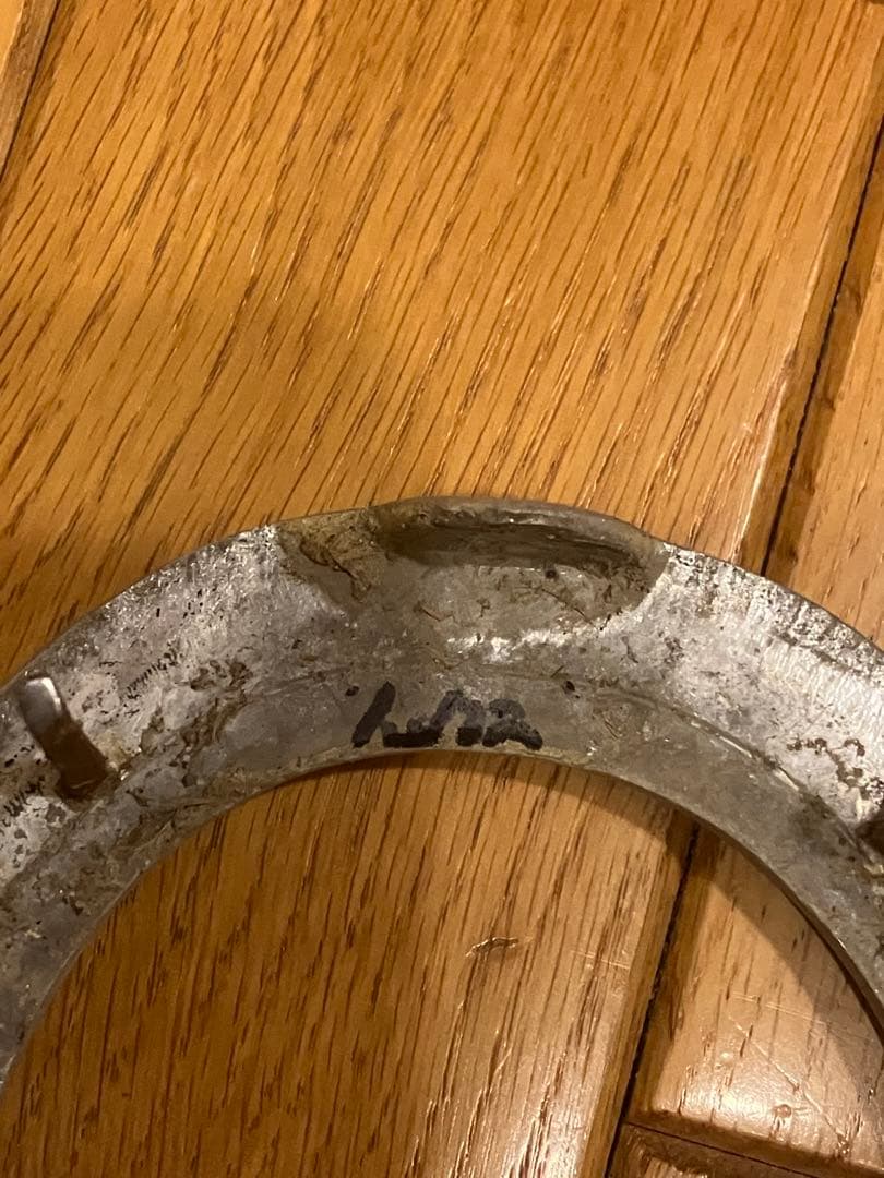 【イクイノックス】実使用　蹄鉄　鬣　たてがみ　2023ジャパンカップ馬券　①