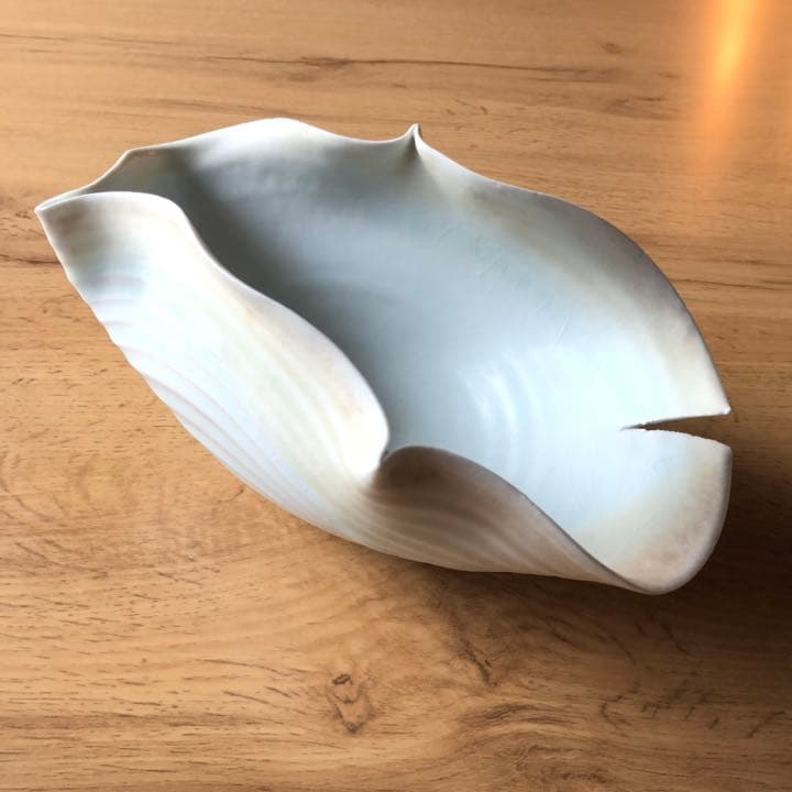 田村一　うつわ　唇器