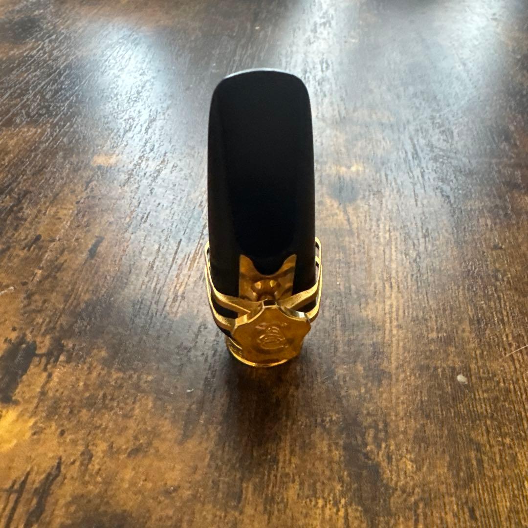 【値下げ中】Theo Wanne セオワニ GAIA2 6 アルトマウスピース