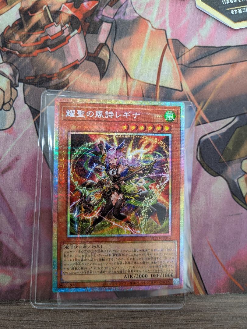 エルフェンノーツ　レギナ　プリシク