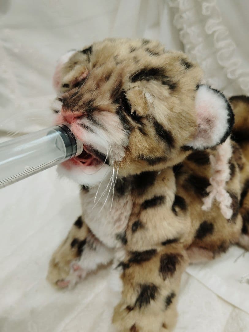 まなあきちゃん❤オーダー❤ウンピョウベビー♡アートドール♡ぬいぐるみ♡