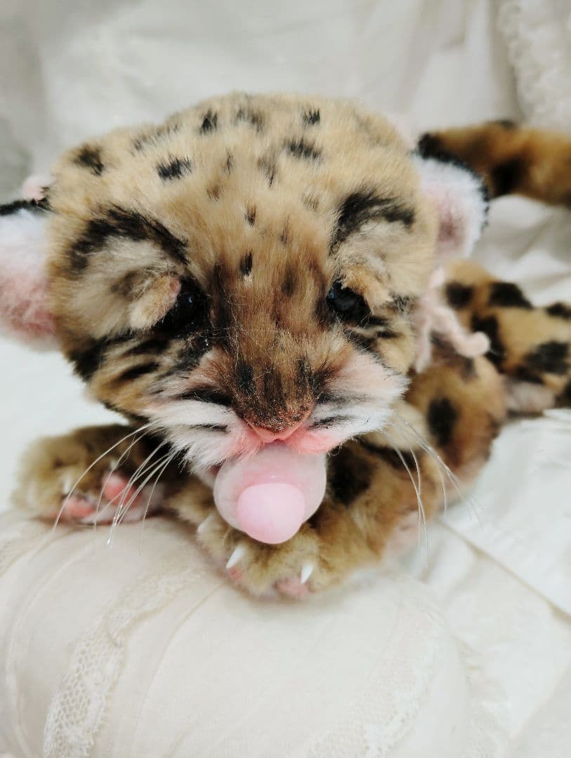 まなあきちゃん❤オーダー❤ウンピョウベビー♡アートドール♡ぬいぐるみ♡