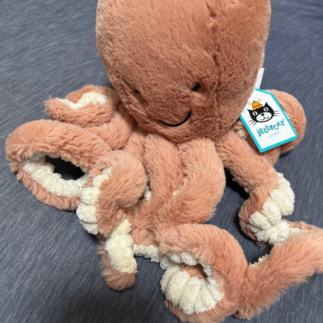 (ジェリーキャット)  オデル タコ タグ付き