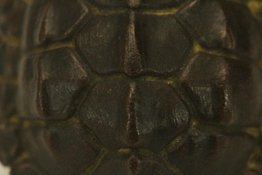 中国美術 紫泥 刻文字 亀甲羅 一対(HA532)