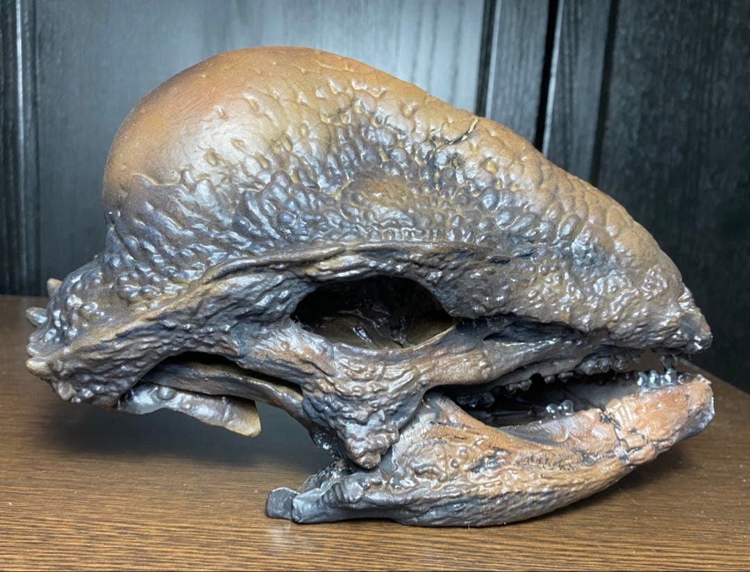 ステゴケラス 頭骨レプリカ その他 歯 化石